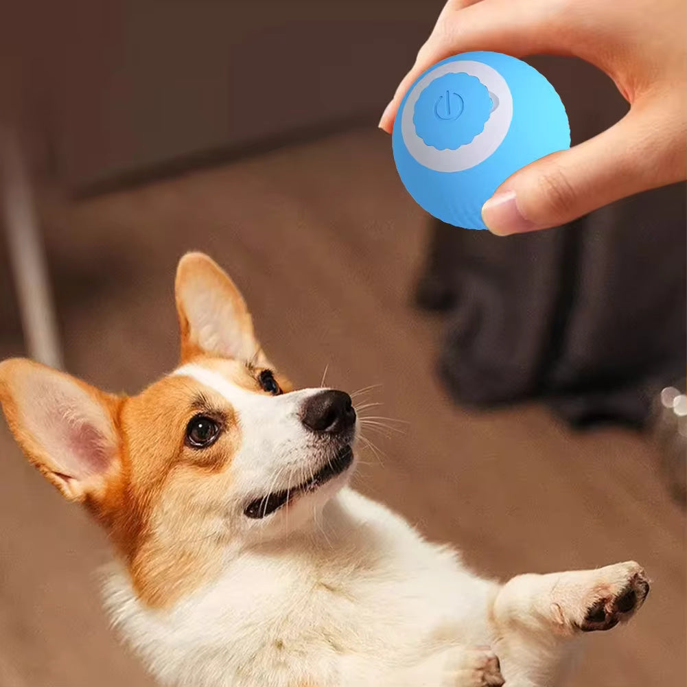 Shuda® Automatic Interactive Smart Toy Ball for Cat & Dog [Newly Upgrade]